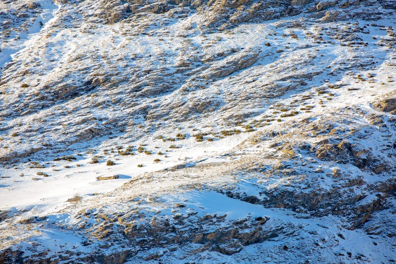 Χιονισμένο mountainside στο ηλιοβασίλεμα Μπορείτε να δείτε εγκαταλειμμένο κτήριο και δύο βόσκοντας ελάφια στοκ εικόνα με δικαίωμα ελεύθερης χρήσης Χιονισμένο mountainside στο ηλιοβασίλεμα Μπορείτε να δείτε εγκαταλειμμένο κτήριο και δύο βόσκοντας ελάφια στοκ εικόνα με δικαίωμα ελεύθερης χρήσης