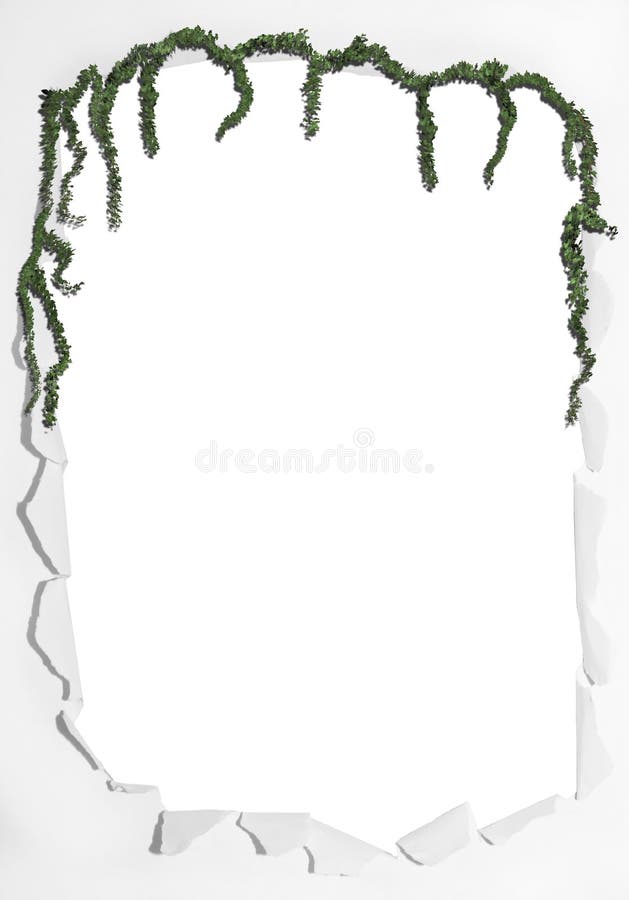 Πραγματική φωτογραφία πλαισίων με το σχήμα PNG απεικόνιση αποθεμάτων Πραγματική φωτογραφία πλαισίων με το σχήμα PNG απεικόνιση αποθεμάτων