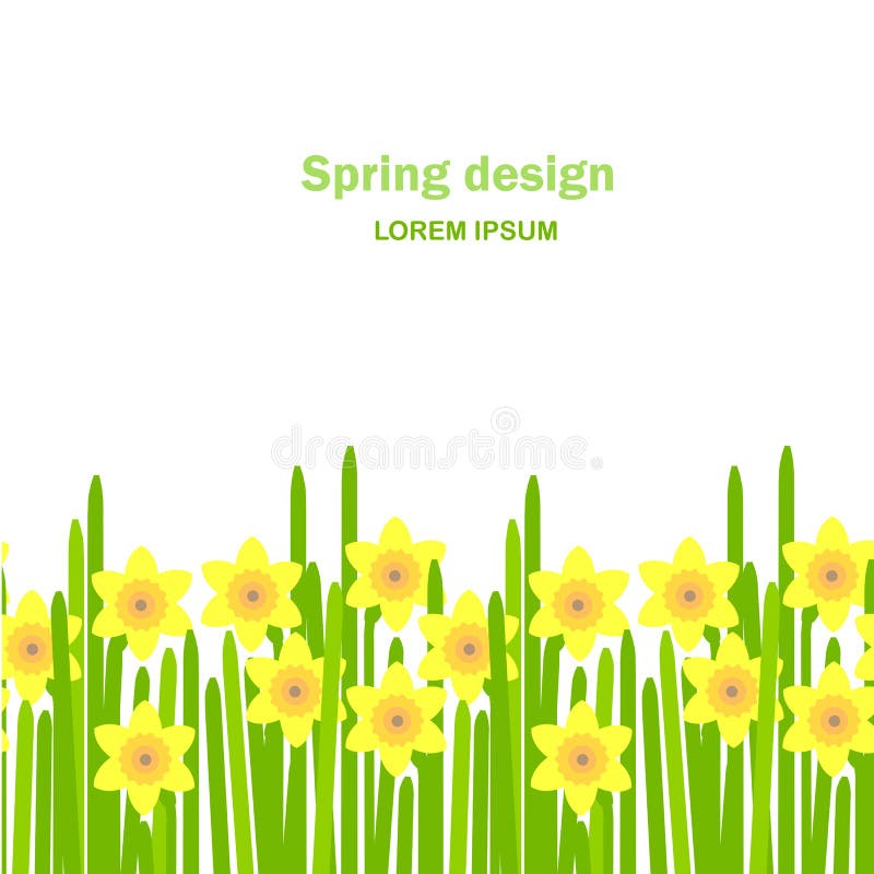 Daffodil seamless background. Yellow spring flowers, green leaves on white background