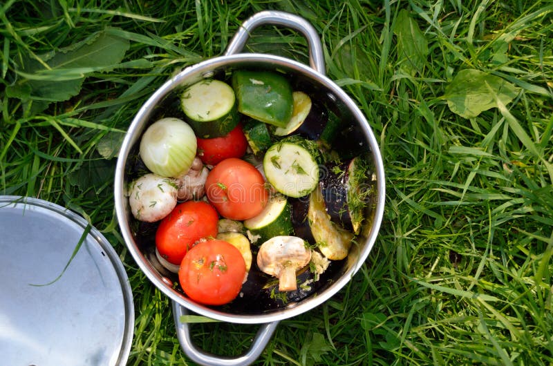 Баклажан овощей барбекю, сердцевина, томат, champignon, перцы внутри лотка стоковое фото rf Баклажан овощей барбекю, сердцевина, томат, champignon, перцы внутри лотка стоковое фото rf