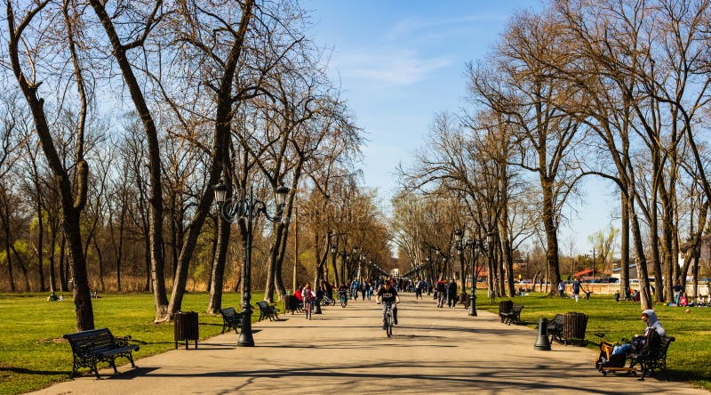 Бухарест, Румыния 2019 Люди принимая прогулку на солнечный весенний день в общественном парке Mogosoaia стоковое фото Бухарест, Румыния 2019 Люди принимая прогулку на солнечный весенний день в общественном парке Mogosoaia стоковое фото