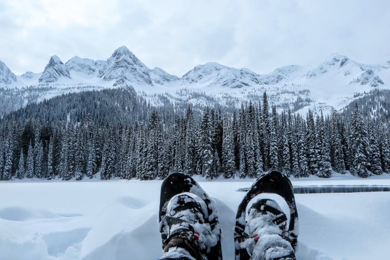 Взгляд крупного плана человека и их пары snowshoes в Fernie, Британской Колумбии, Канады стоковые фотографии rf Взгляд крупного плана человека и их пары snowshoes в Fernie, Британской Колумбии, Канады стоковые фотографии rf