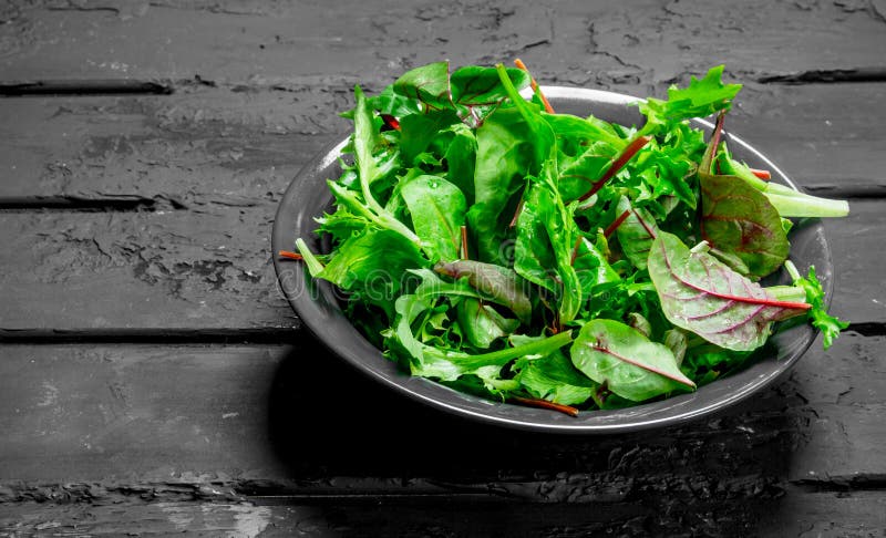 здоровый салат Салат Arugula в шаре стоковое изображение здоровый салат Салат Arugula в шаре стоковое изображение