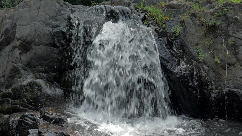 Замедленное движение конца-вверх снятое небольшого водопада в тропических джунглях тропического леса Филиппин Небольшое спрятанно сток-видео Замедленное движение конца-вверх снятое небольшого водопада в тропических джунглях тропического леса Филиппин Небольшое спрятанно сток-видео