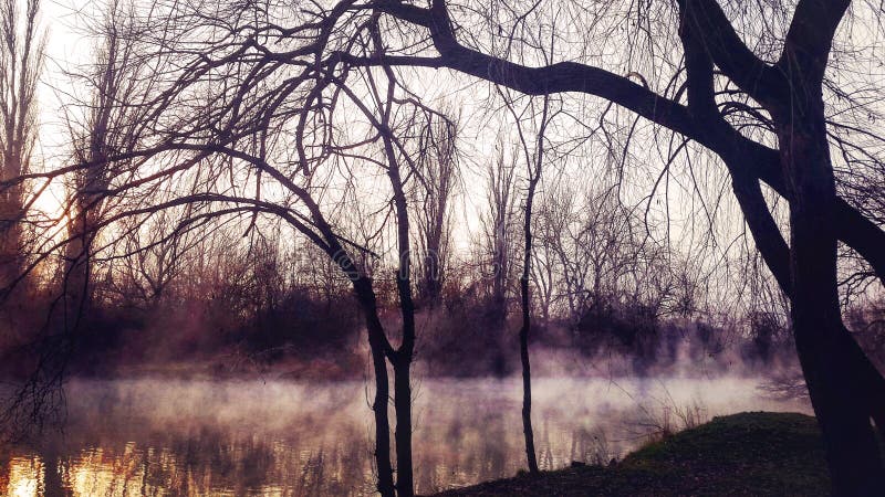 Зимний парк вечером, паÑмурнаÑ, Ñ‚ÑƒÐ¼Ð°Ð½Ð½Ð°Ñ Ð¿Ð¾Ð³Ð¾Ð´Ð° royalty free stock photo Зимний парк вечером, паÑмурнаÑ, Ñ‚ÑƒÐ¼Ð°Ð½Ð½Ð°Ñ Ð¿Ð¾Ð³Ð¾Ð´Ð° royalty free stock photo