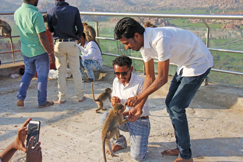 Индия, Hampi, 31-ое января 2018 Индийские туристы людей кормят обезьян с бананами на холме виска Anjaney и Hanuman в Hampi стоковые фотографии rf Индия, Hampi, 31-ое января 2018 Индийские туристы людей кормят обезьян с бананами на холме виска Anjaney и Hanuman в Hampi стоковые фотографии rf