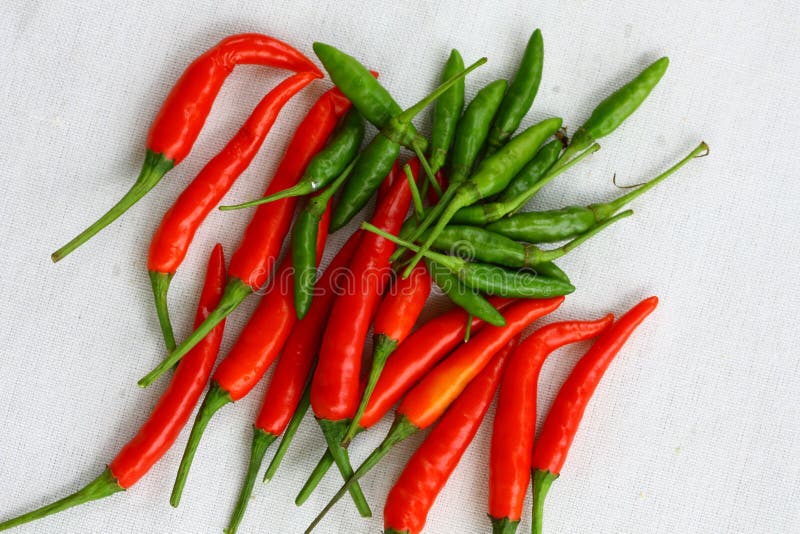 Красный и зеленый тайский chili стоковые фотографии rf Красный и зеленый тайский chili стоковые фотографии rf