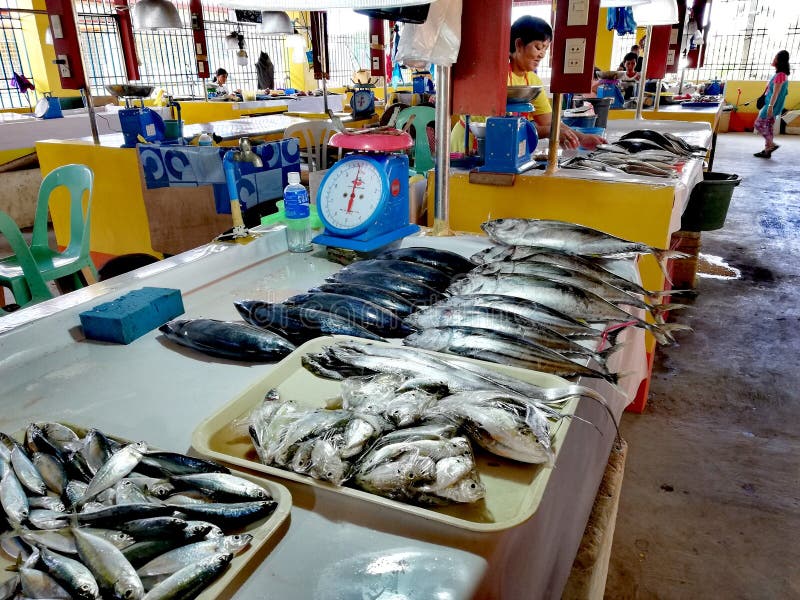 Местный рыбный базар в Mamburao, Mindoro стоковые фотографии rf Местный рыбный базар в Mamburao, Mindoro стоковые фотографии rf