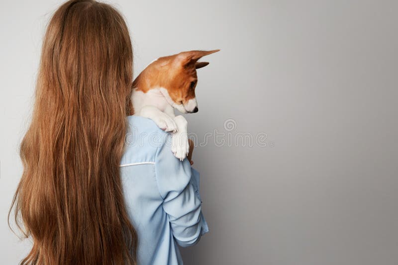 Милая молодая женщина обнимая и целуя ее собаку basenji щенка Влюбленность между собакой и предпринимателем белизна изолированная стоковое фото rf Милая молодая женщина обнимая и целуя ее собаку basenji щенка Влюбленность между собакой и предпринимателем белизна изолированная стоковое фото rf