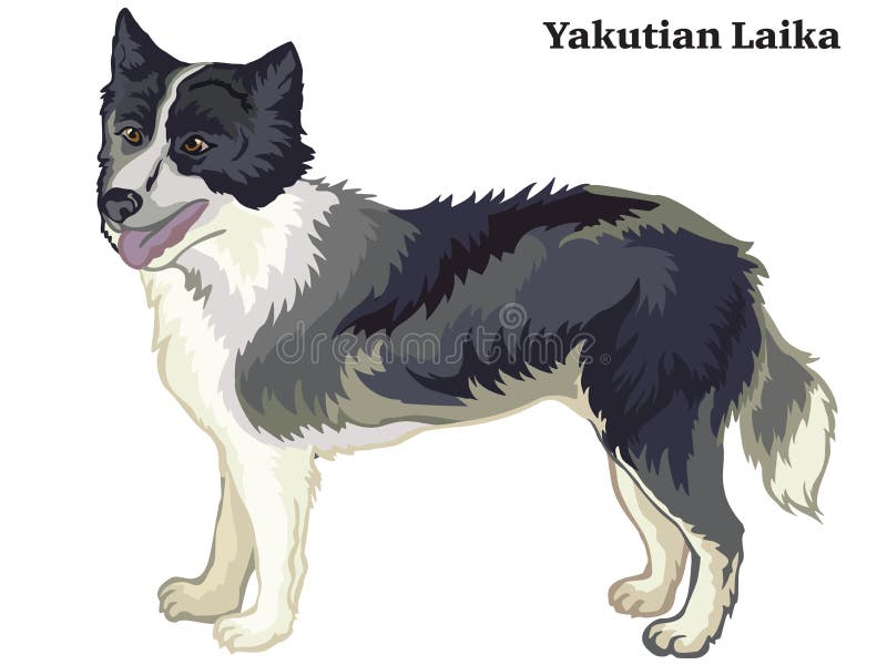 Покрашенный декоративный стоящий портрет иллюстрации вектора Yakutian Laika иллюстрация вектора Покрашенный декоративный стоящий портрет иллюстрации вектора Yakutian Laika иллюстрация вектора
