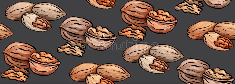 Seamless texture with colored cartoon nuts on gray background. Walnut and pecan. Vector pattern stock illustration Seamless texture with colored cartoon nuts on gray background. Walnut and pecan. Vector pattern stock illustration