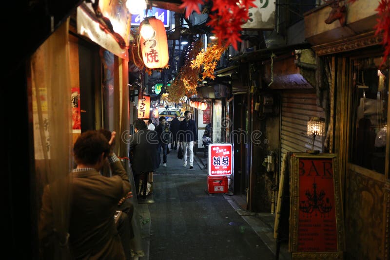 Переулок улицы еды Shinjuku стоковое фото rf Переулок улицы еды Shinjuku стоковое фото rf