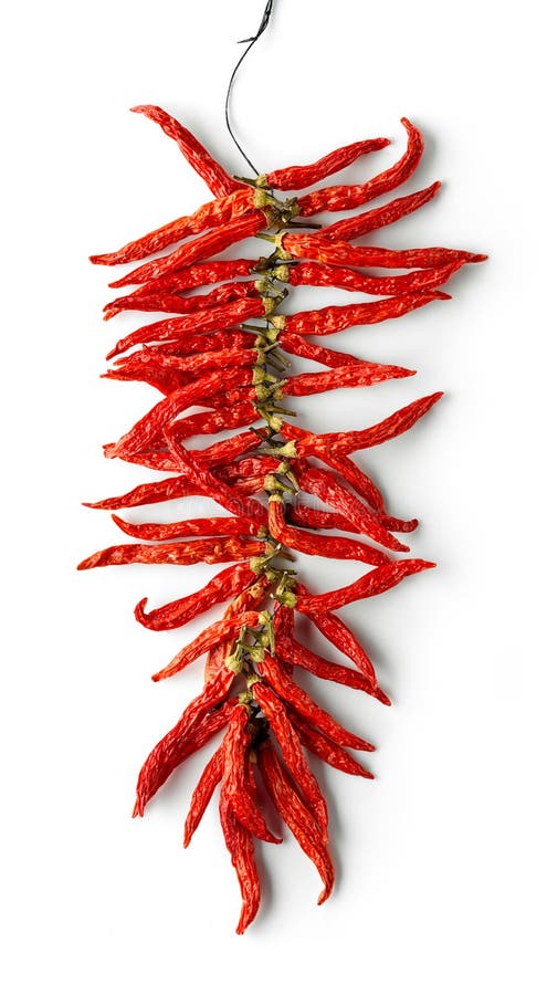 перцы высушенные chili горячие красные стоковые изображения перцы высушенные chili горячие красные стоковые изображения