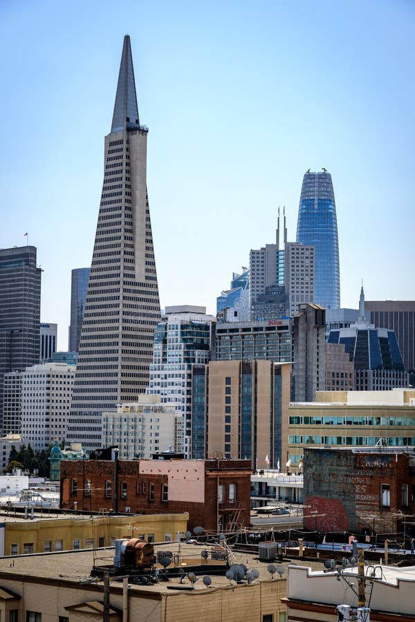 Пирамида Transamerica выглядит более высокорослой чем башня Salesforce в горизонте Сан-Франциско стоковые изображения Пирамида Transamerica выглядит более высокорослой чем башня Salesforce в горизонте Сан-Франциско стоковые изображения