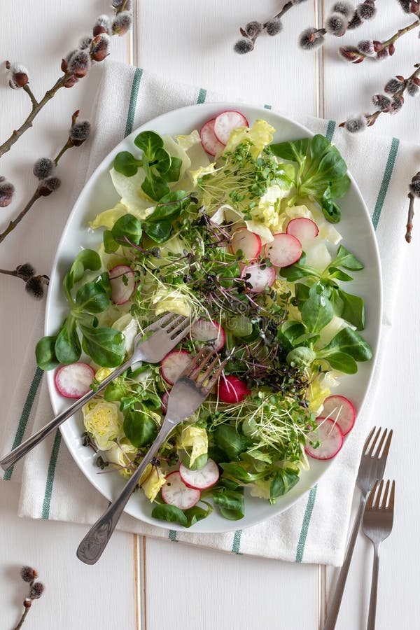 Салат весны с microgreens брокколи и листовой капусты на белой предпосылке, взгляде сверху стоковые изображения rf Салат весны с microgreens брокколи и листовой капусты на белой предпосылке, взгляде сверху стоковые изображения rf