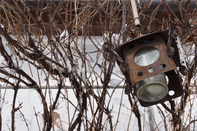 Old rusty lantern hangs on the thin branches in winter stock images