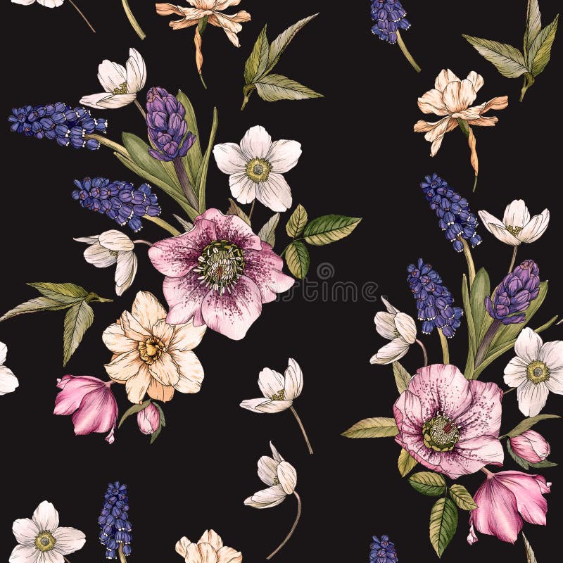 Флористическая безшовная картина с narcissus, muscari и морозником акварели бесплатная иллюстрация Флористическая безшовная картина с narcissus, muscari и морозником акварели бесплатная иллюстрация
