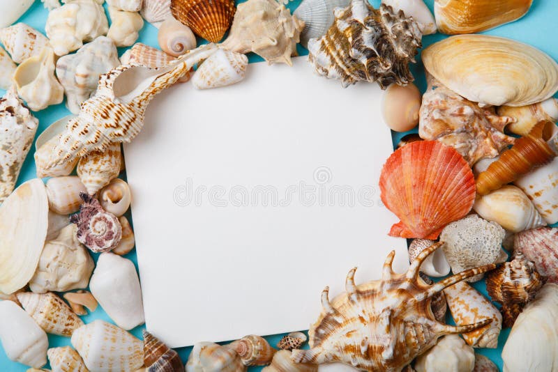 Рамка от seashells на голубой предпосылке стоковая фотография rf Рамка от seashells на голубой предпосылке стоковая фотография rf