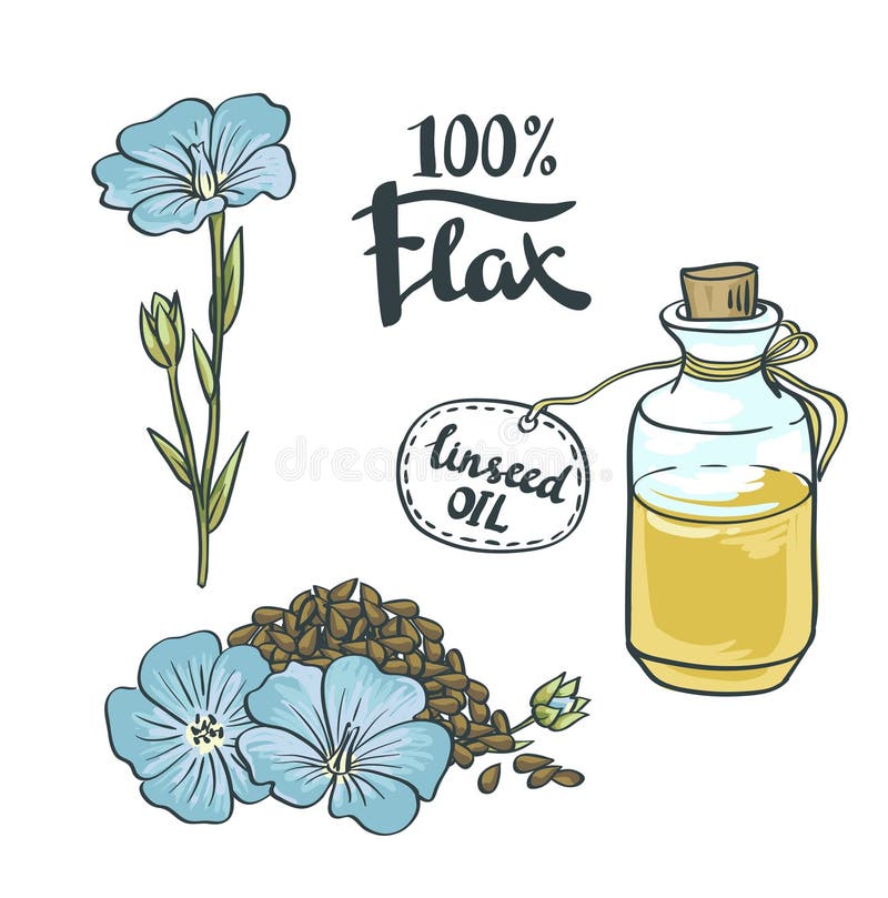 Óleo de sementes do linho em uma garrafa de vidro com flores ilustração stock Óleo de sementes do linho em uma garrafa de vidro com flores ilustração stock