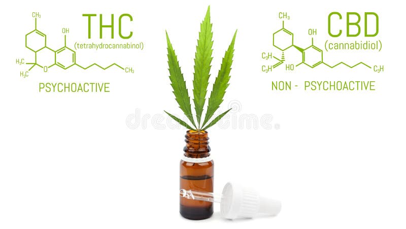 Óleo do cannabis de CBD com conta-gotas, folha verde do cânhamo na garrafa Os produtos da marijuana isolaram o fundo branco Conce fotos de stock royalty free Óleo do cannabis de CBD com conta-gotas, folha verde do cânhamo na garrafa Os produtos da marijuana isolaram o fundo branco Conce fotos de stock royalty free