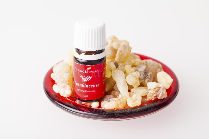 Óleo Essencial de Incenso foto de stock