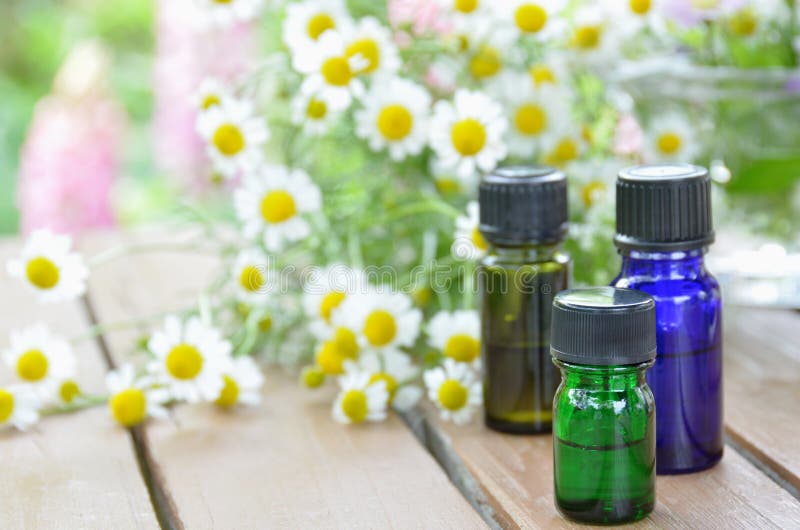 Óleos da aromaterapia com camomila
