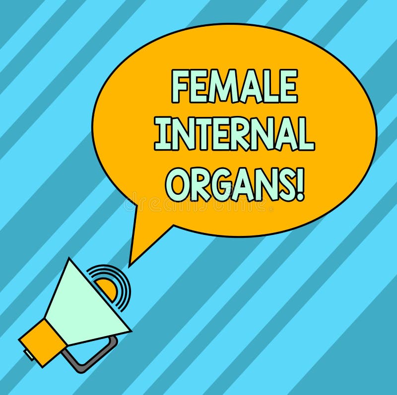 Órganos internos femeninos del texto de la escritura de la palabra Concepto del negocio para las estructuras genitales internas d