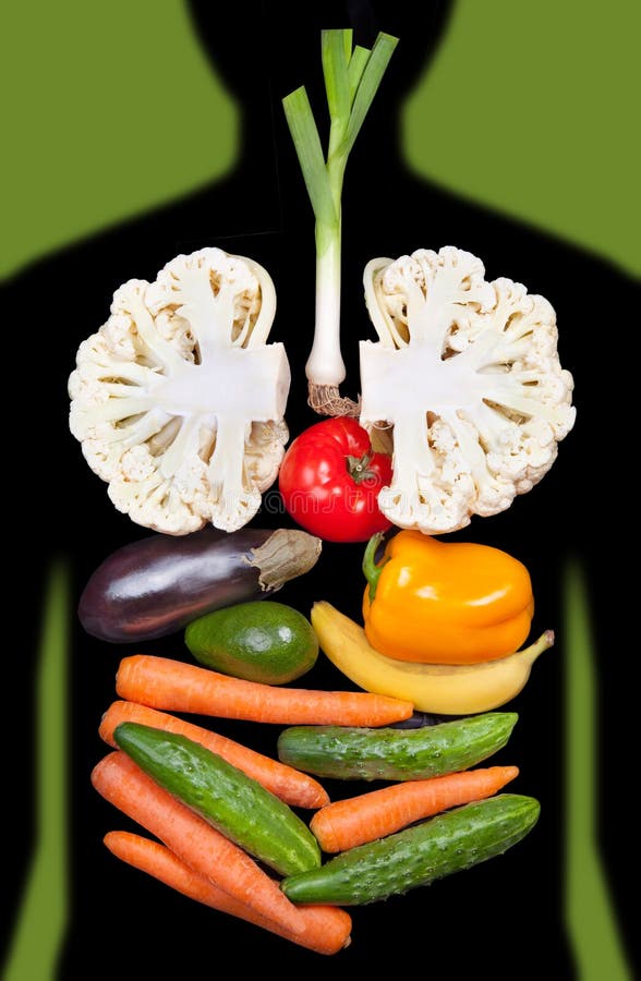 Human internal organs lined with different vegetables. Human internal organs lined with different vegetables