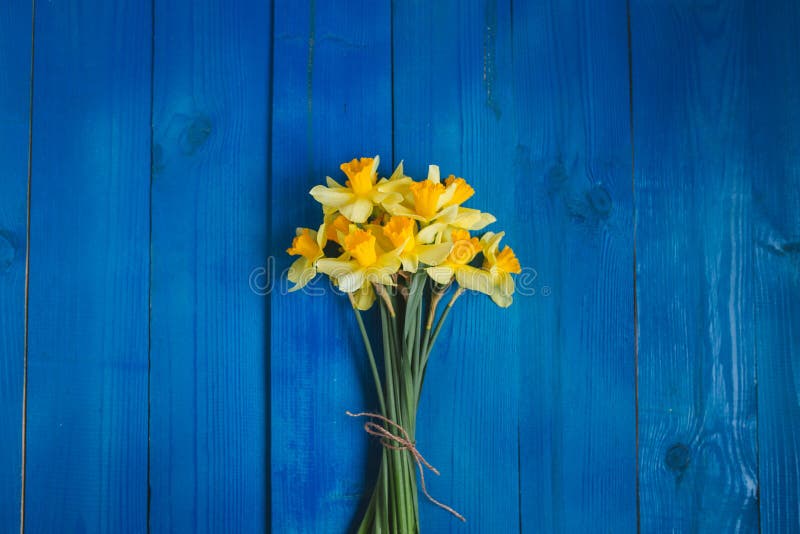 Żółty daffodils bukiet na błękitnym drewnianym tle, Easter karta zdjęcia stock Żółty daffodils bukiet na błękitnym drewnianym tle, Easter karta zdjęcia stock