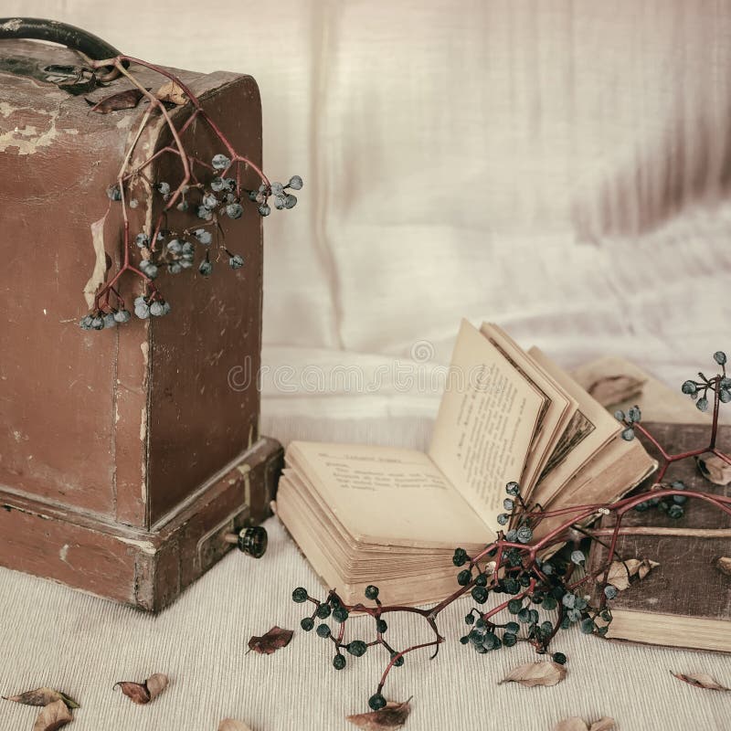 Öffnen altes Buch und trockene Wildvögel Weintrauben und Blätter des hölzernen Stammes. Herbststimmungs-Weinlesehintergrund. stockbild