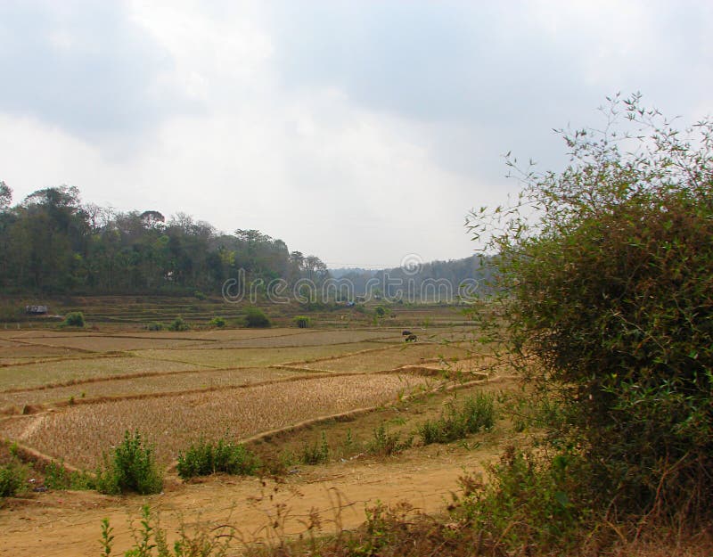 Öffnen Sie Fileds in einem indischen Dorf - Landschaft stockbilder Öffnen Sie Fileds in einem indischen Dorf - Landschaft stockbilder