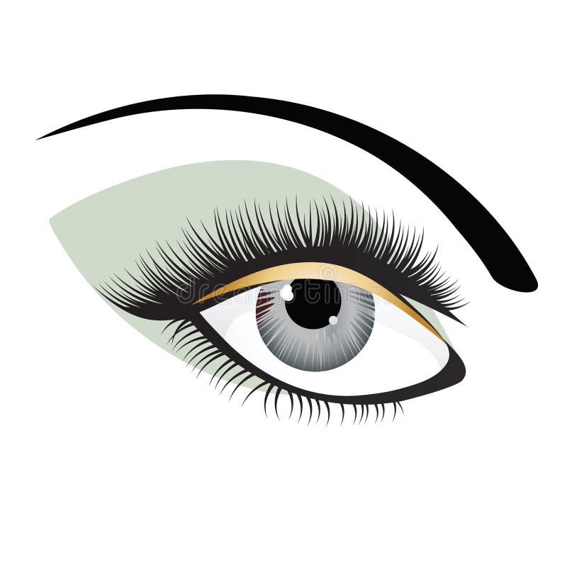 Illustration of female eye in gray and green with full lashes. Illustration of female eye in gray and green with full lashes