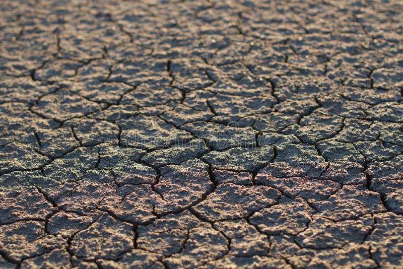 Afrika sunny dry lake desert. Afrika sunny dry lake desert