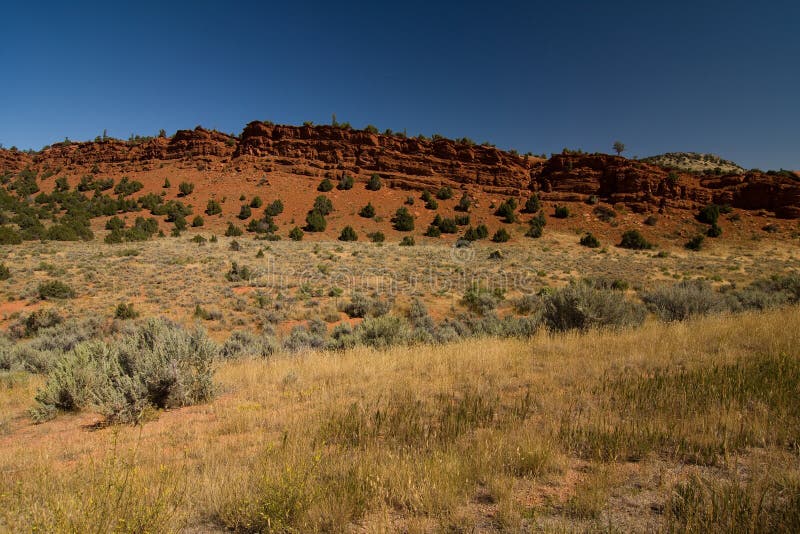 Semi desert in Wyoming, USA. Semi desert in Wyoming, USA