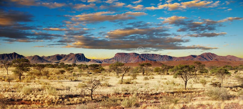 African landscape, Kalahari Desert, Namibia. African landscape, Kalahari Desert, Namibia