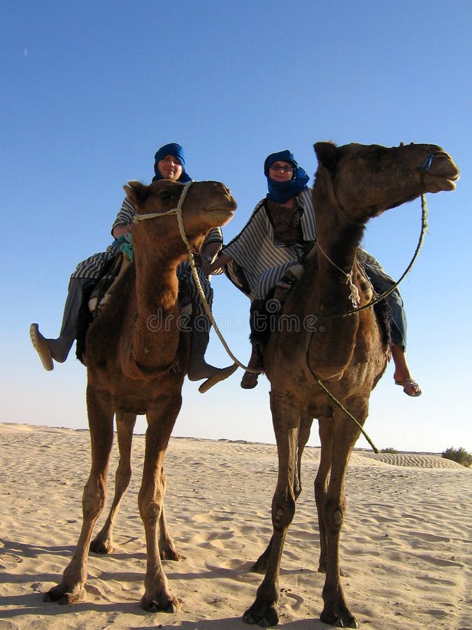 Together in desert Sahara on a camel, Tunisia. Together in desert Sahara on a camel, Tunisia