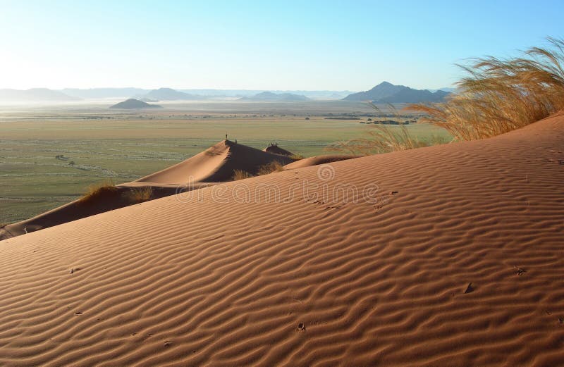 Lunar panoramic landscape with red sand dunes in the Kalahari Desert, Namibia, Africa. Lunar panoramic landscape with red sand dunes in the Kalahari Desert, Namibia, Africa