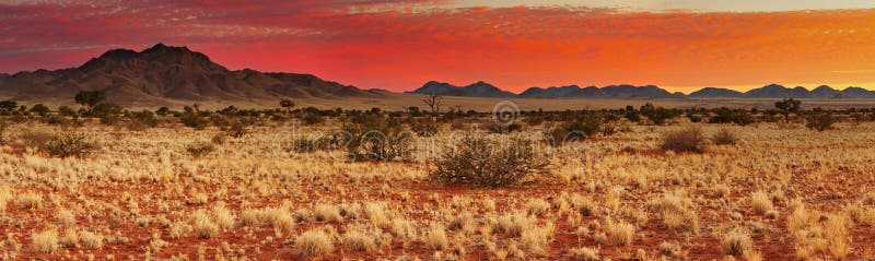 Colorful sunset in Kalahari Desert, Namibia. Colorful sunset in Kalahari Desert, Namibia