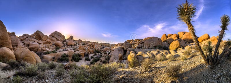 Dry desert at Joshoua Tree National Park showing effects of global warming and climate change. Dry desert at Joshoua Tree National Park showing effects of global warming and climate change