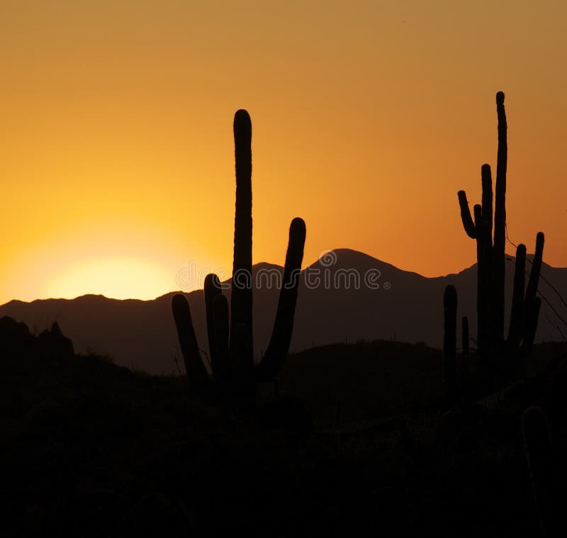 Experience of a beautiful sunset in the Arizona Desert. Experience of a beautiful sunset in the Arizona Desert.