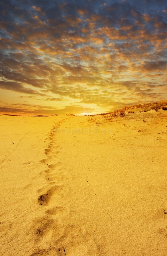 View of desert at sunset. View of desert at sunset