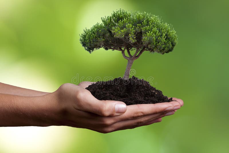 Ökologiekonzept lizenzfreies stockfoto Ökologiekonzept lizenzfreies stockfoto