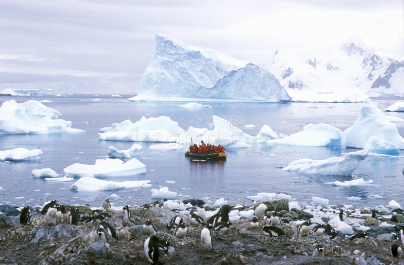 Ökologische Touristen im aufblasbaren Tierkreisboot beobachten Gentoo-Pinguine im Paradies-Hafen, die Antarktis