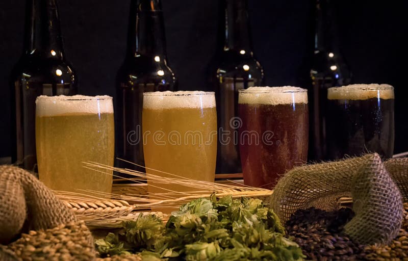 From light to dark, beer tasting set with home brew ingredients,hops and grains. From light to dark, beer tasting set with home brew ingredients,hops and grains.