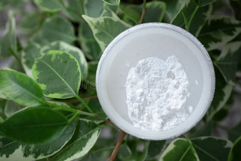 Öppen låda med mineralpulver på grönt blad bakgrund fotografering för bildbyråer
