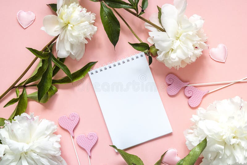 Öppen notepad för mellanrum med vita pioner på en rosa bakgrund plac arkivfoton Öppen notepad för mellanrum med vita pioner på en rosa bakgrund plac arkivfoton