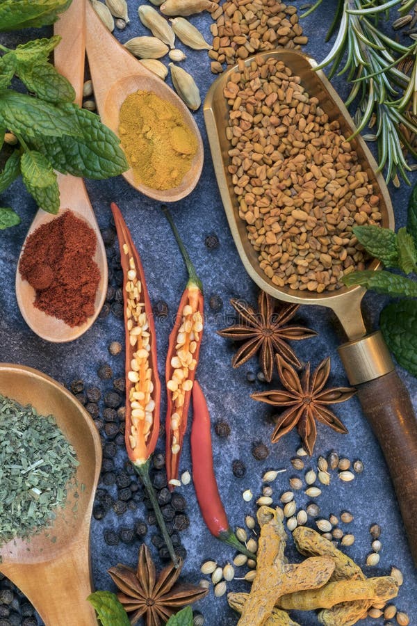 örtar för fjärdcardamonvitlök blad vanilj för kryddor för pepparrosmarinar salt arkivbild örtar för fjärdcardamonvitlök blad vanilj för kryddor för pepparrosmarinar salt arkivbild