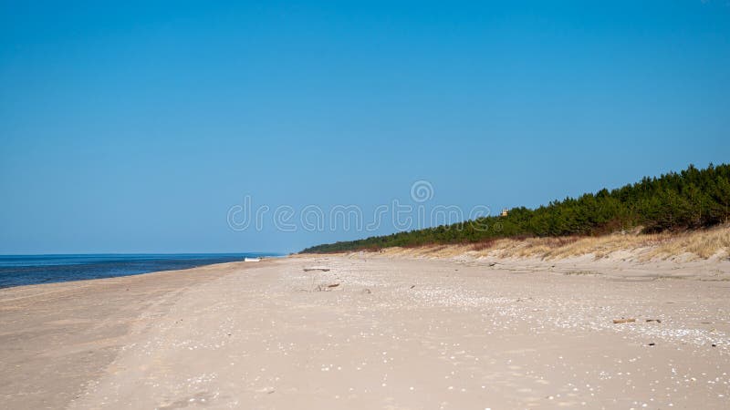 Östersjöstrand med fin vit sand och blå himmel royaltyfria bilder