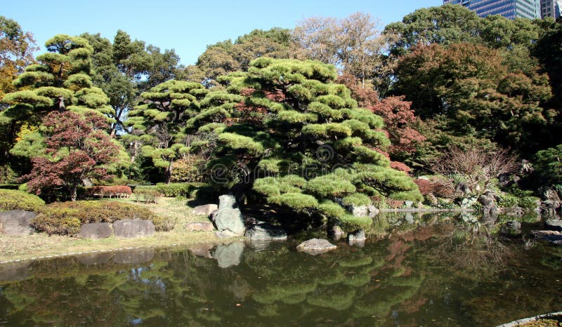 Östliga trädgårdar av den imperialistiska slotten, Tokyo, Japan