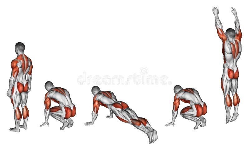 öva Burpee royaltyfri illustrationer öva Burpee royaltyfri illustrationer